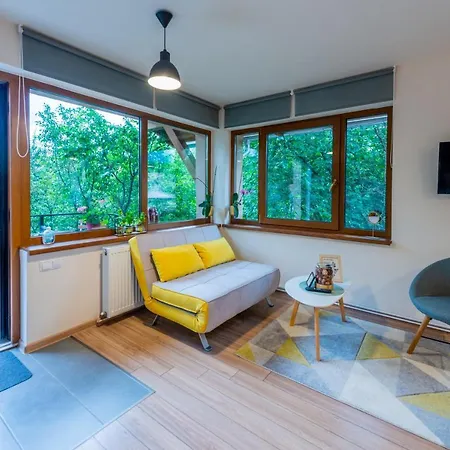 Dragonfly With Garden Apartment Brasov