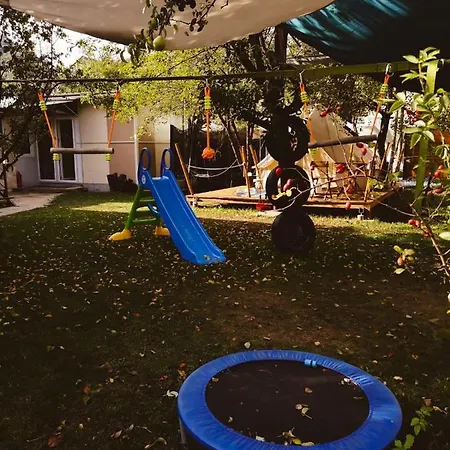 Dragonfly With Garden Apartment